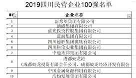 德勝集團(tuán)位列 2019四川省民營企業(yè)100強(qiáng)第5位