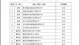 德勝釩鈦成功入圍“四川省第一批工業(yè) 資源綜合利用示范基地企業(yè)”