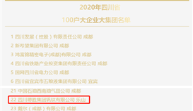 集團(tuán)位列2020四川省100戶(hù)大企業(yè)大集團(tuán)名單第22位