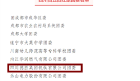 德勝釩鈦團(tuán)委榮獲“四川省五四紅旗團(tuán)委”稱號