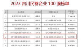 連續(xù)六年！德勝集團上榜“四川民營企業(yè)100強”