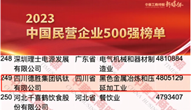 德勝集團(tuán)連續(xù)14年上榜中國民營企業(yè)500強(qiáng)